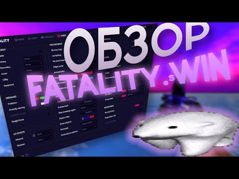 Видео: САМЫЙ КРАСИВЫЙ ЧИТ? // ОБЗОР FATALITY.WIN #cs2