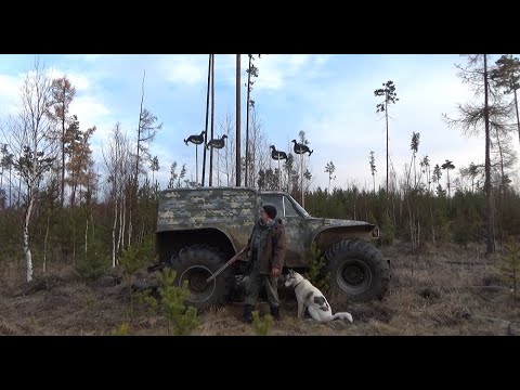 Видео: КОСАЧИ-КОСАЧИ !