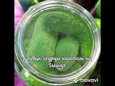 Видео: Закрываем огурцы