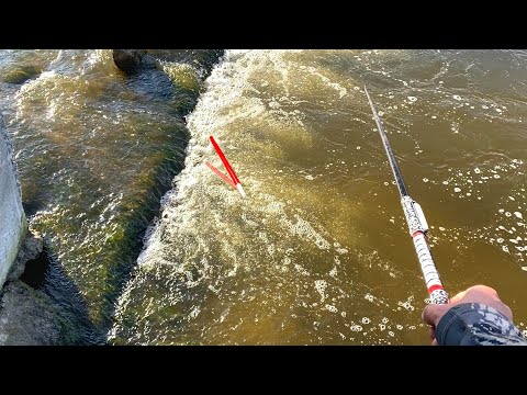 Видео: У БЕТОННОЙ ПЛИТЫ...КАРАСИ ПРУТ ПОПЛАВОК! ТАКОГО ЕЩЁ НЕ БЫЛО! Ручей РАЗДАЁТ. Рыбалка 2024