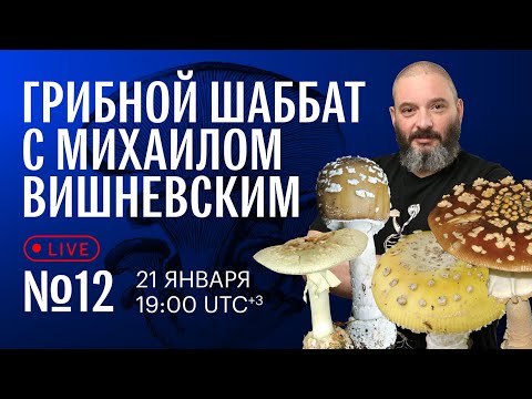 Видео: Грибной шаббат с Михаилом Вишневским №12. Другие мухоморы