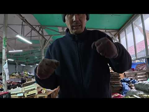 Видео: 4  ноября 2025 - рынок Турксиб