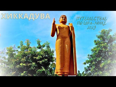 Видео: #5 Шри-Ланка|Хиккадува|Храмы и центр спасения черепах#srilanka #шриланка #hikkaduwa #temple #turtle