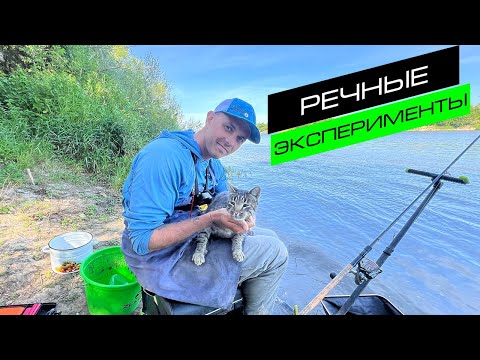 Видео: ФИДЕРНАЯ ЛОВЛЯ НА РЕКЕ / РЫБАЛКА НА ФИДЕР / FROS FISHING