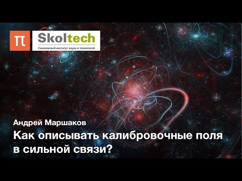 Видео: Калибровочные и конформные теории — Андрей Маршаков