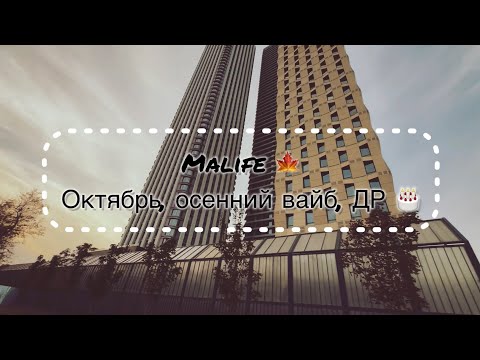 Видео: Осенний Malife 🍁🍂