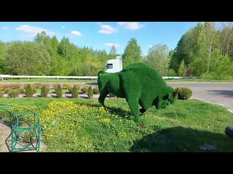 Видео: Осиповичи! Прогулка по городу! 7ч. 3 мая 2024г.