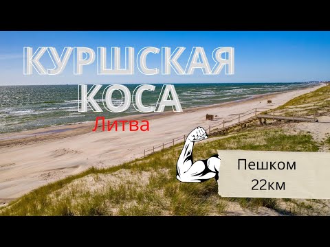 Видео: Жизнь в Литве/Куршская коса пешком/ Йодкранте/море/Настоящий янтарь