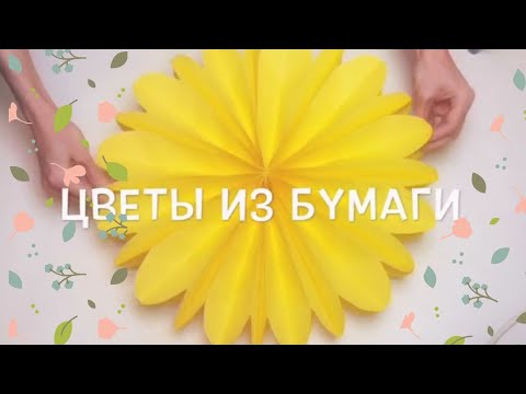 Видео: 🌼DIY большие цветы из бумаги 40 см.🌼 3D цветы🌼