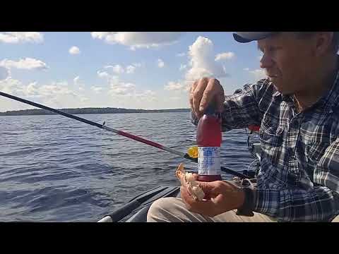 Видео: Рыбалка без слов.
