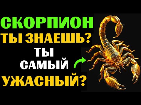 Видео: 🔴🦂28 причин, почему СКОРПИОН - самый УЖАСНЫЙ знак зодиака. ВЫ С ЭТИМ СОГЛАСНЫ?