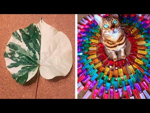 Видео: Рай перфекционистов среди обычных вещей (5 серия)