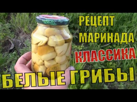 Видео: Классический рецепт маринования белых грибов Пошаговая инструкция приготовления маринада с гвоздикой