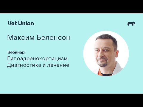 Видео: Гипоадренокортицизм: диагностика и лечение