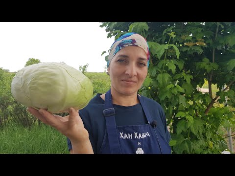 Видео: Необычные Голубцы с Дымком/Unusual Cabbage Rolls with Smoky