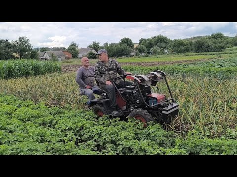 Видео: Модная чеснококопалка  😄😄😄