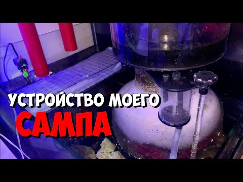 Видео: Обзор моего сампа | Куда ставить скиммер | Морской аквариум