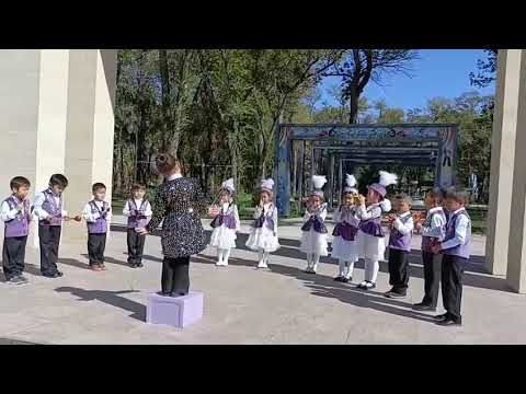 Видео: Бәйтерек бөбекжай балабақшасы Жетекшісі: Анисова Айгерим Рыскелдиевна «Әдемі» оркестры