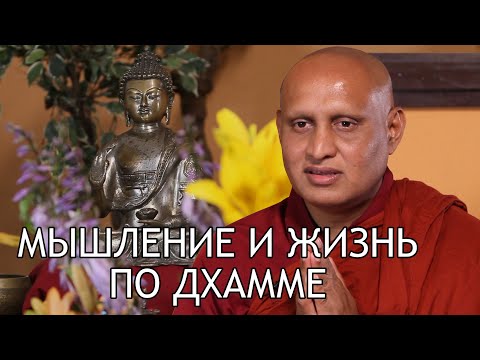 Видео: Бханте Ньянасиха. Мышление и жизнь по Дхамме / Студия Бодхи