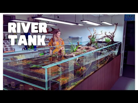 Видео: НЕВЕРОЯТНЫЙ наклонный речной аквариум объемом 1000 л в Atlas Aquariums!