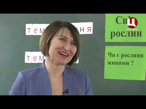 Видео: Навчаємося вдома. 1 клас. Урок №6