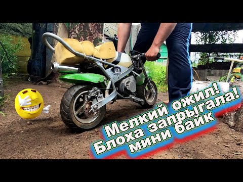 Видео: Мелкий ожил, собираем мини байк! Блоха запрыгала!