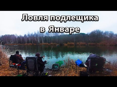 Видео: Зимняя фидерная ловля подлещика.