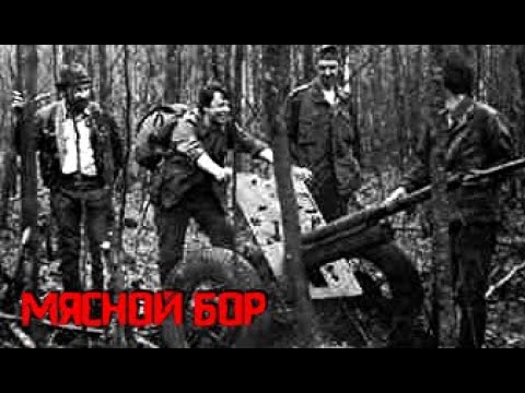 Видео: МЯСНОЙ БОР ГЛАЗАМИ ПЕРВЫХ ПОИСКОВИКОВ / ТЕХНИКА СТОЯЛА КОЛОННАМИ