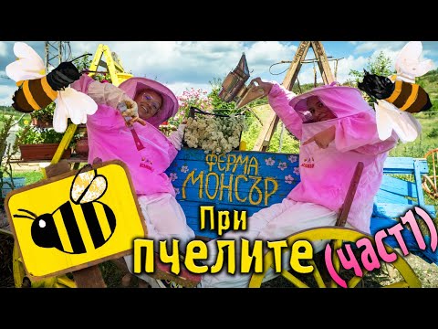 Видео: ПРИ ПЧЕЛИТЕ | Вадене на МЕД 2022г. - Част 1 | Ферма Монсър