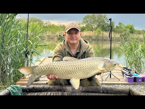 Видео: Водоем Водопадный. 9 МАЯ рыбалка Карпфишинг!