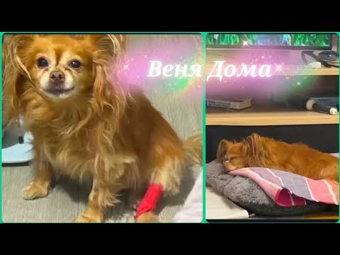 Видео: На нервах все перемыла!Приготовила блинчики.Забрала Веню из больницы.Слабонервным не смотреть😨