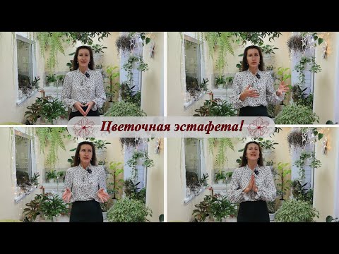 Видео: Участвую в эстафете блогеров! Приняла и передаю дальше!