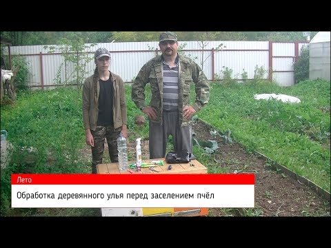 Видео: 🔷 Обработка улья 🔷