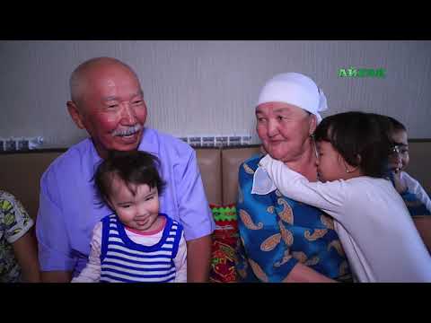 Видео: Бөген су арнасының тыныс-тіршілігі "Айғақ" арнасының Агро жаңалықтарында