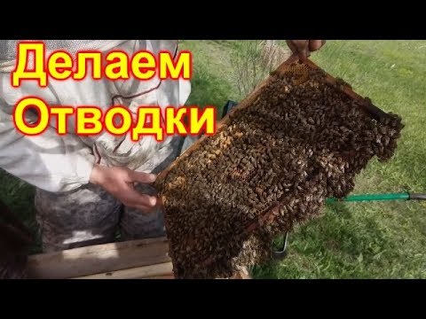 Видео: Делаем отводки, как мы делаем отводки