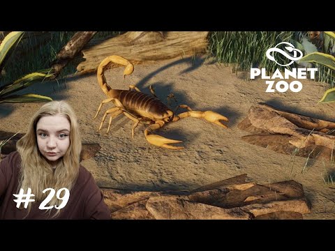 Видео: Ждем размножений ➤Planet Zoo #29