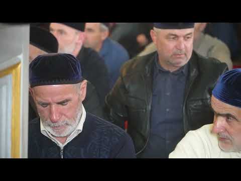 Видео: Аллерой 03.03.2023