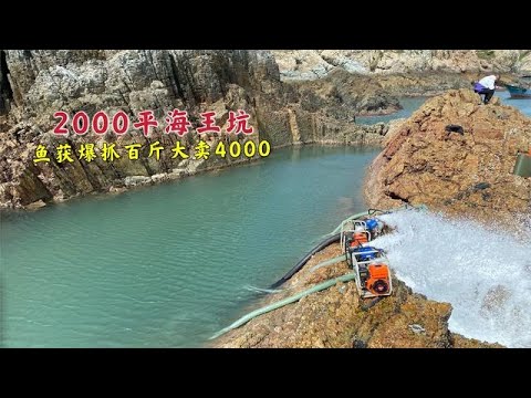 Видео: мы собрали сотни килограммов рыбы