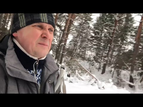 Видео: Зимняя прогулка по нашей деревне.