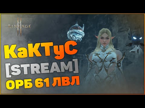 Видео: [Lineage 2M] Орб 61 лвл | Барц 1 | KaKTyC - Орен