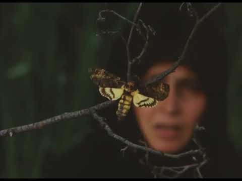Видео: Голос трави (1992), реж. Наталія Мотузко