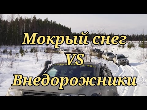 Видео: Wrangler Rubicon, Sport2, L200, Pajero 4, Sorento, Terrano, Tlc80 и УАЗ. Борьба с мокрым снегом.