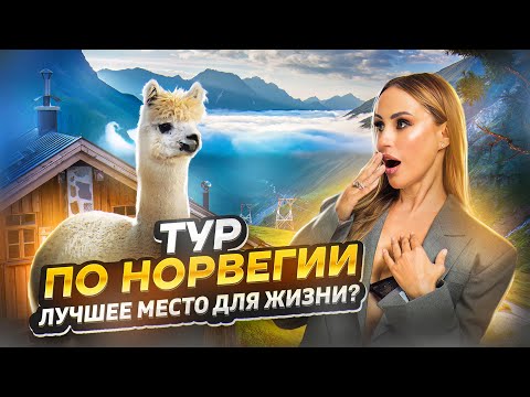 Видео: ТУР ПО НОРВЕГИИ! Очень дорого?! Вы захотите это увидеть! Горы и Альпаки