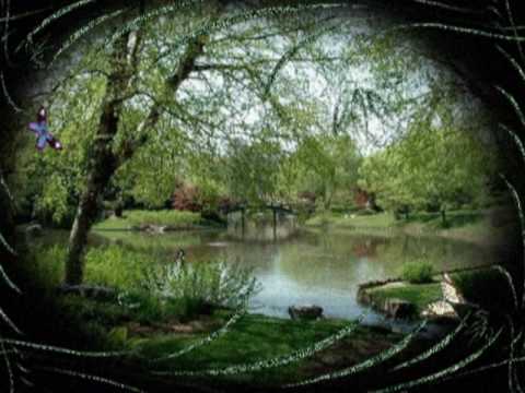 Видео: Все для тебя