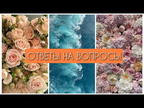 Видео: Ответы на вопросы подписчиков💜 Про лён💚 Любимые места☘️