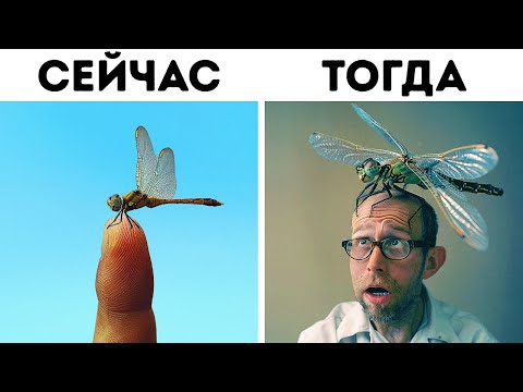 Видео: Захватывающие факты о животных, которые вы не найдете в учебнике