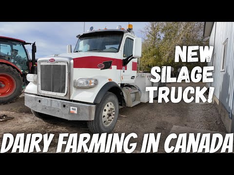 Видео: Мы купили Peterbilt!