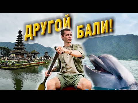 Видео: Таким Бали вы еще не видели! Путешествие на север: дельфины, заброшенный отель, водопады и клубника!