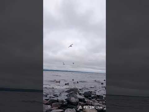 Видео: эммм... ну да...)))