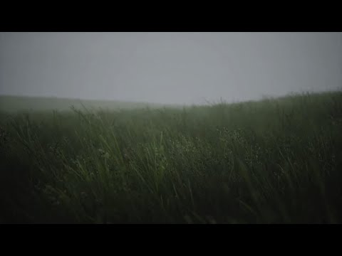 Видео: КАК ПОСТАВИТЬ ФОН И ШРИФТ В DOTA 2 КАК У КУРСЕДА